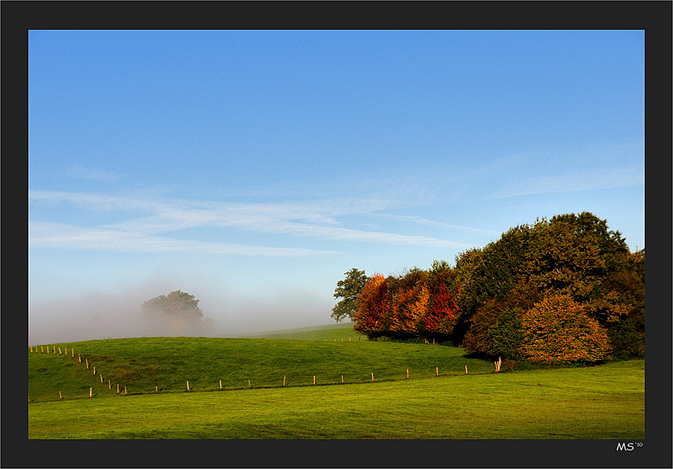 herbstkitsch ...