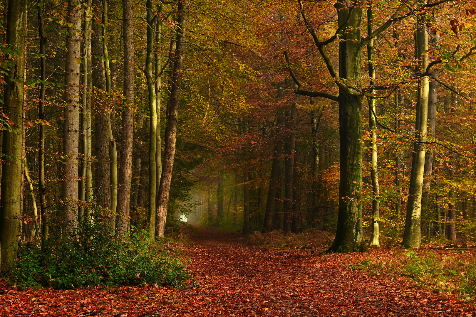 Herbstklassiker