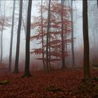 Herbstkleid