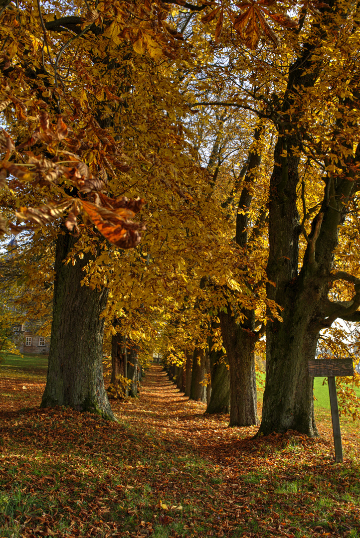 Herbstkleid.....