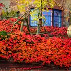 Herbstkleid