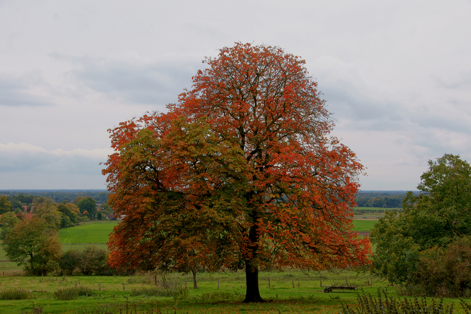 Herbstkleid