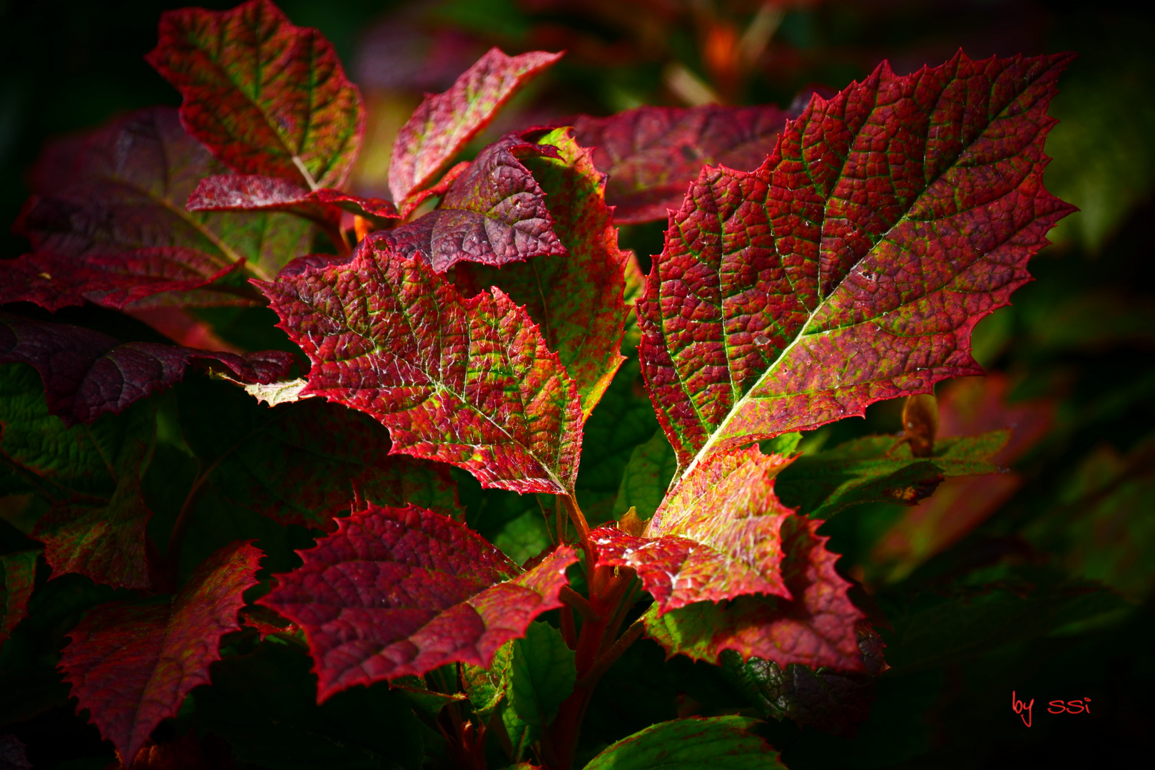 Herbstkleid