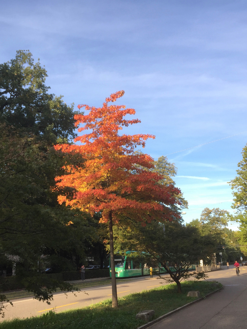 Herbstkleid