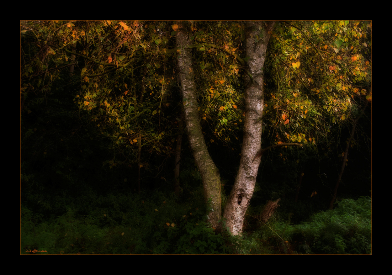 Herbstkleid