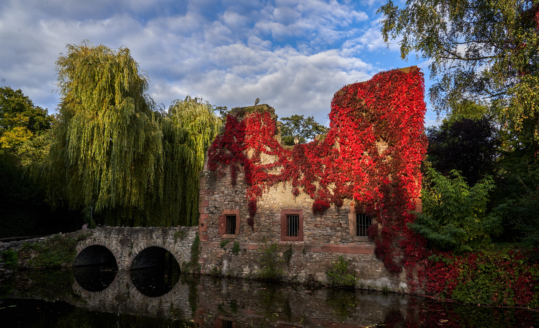 Herbstkleid