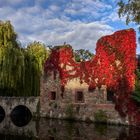 Herbstkleid