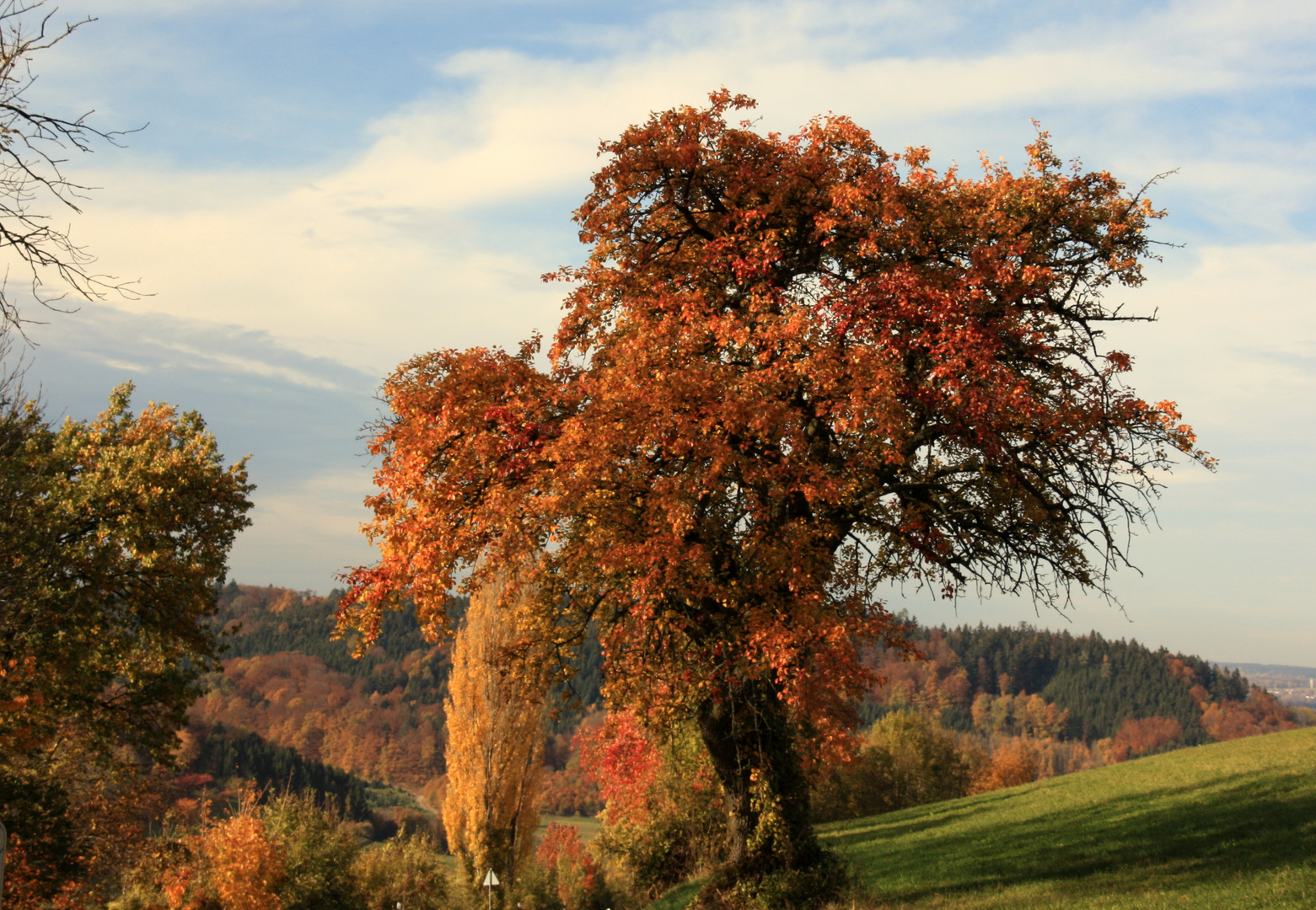 Herbstkleid