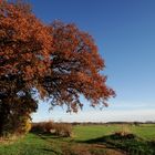 Herbstkleid