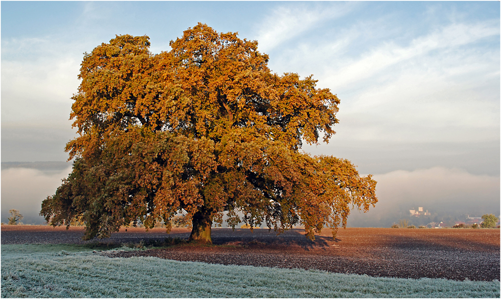 Herbstkleid