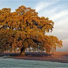 Herbstkleid