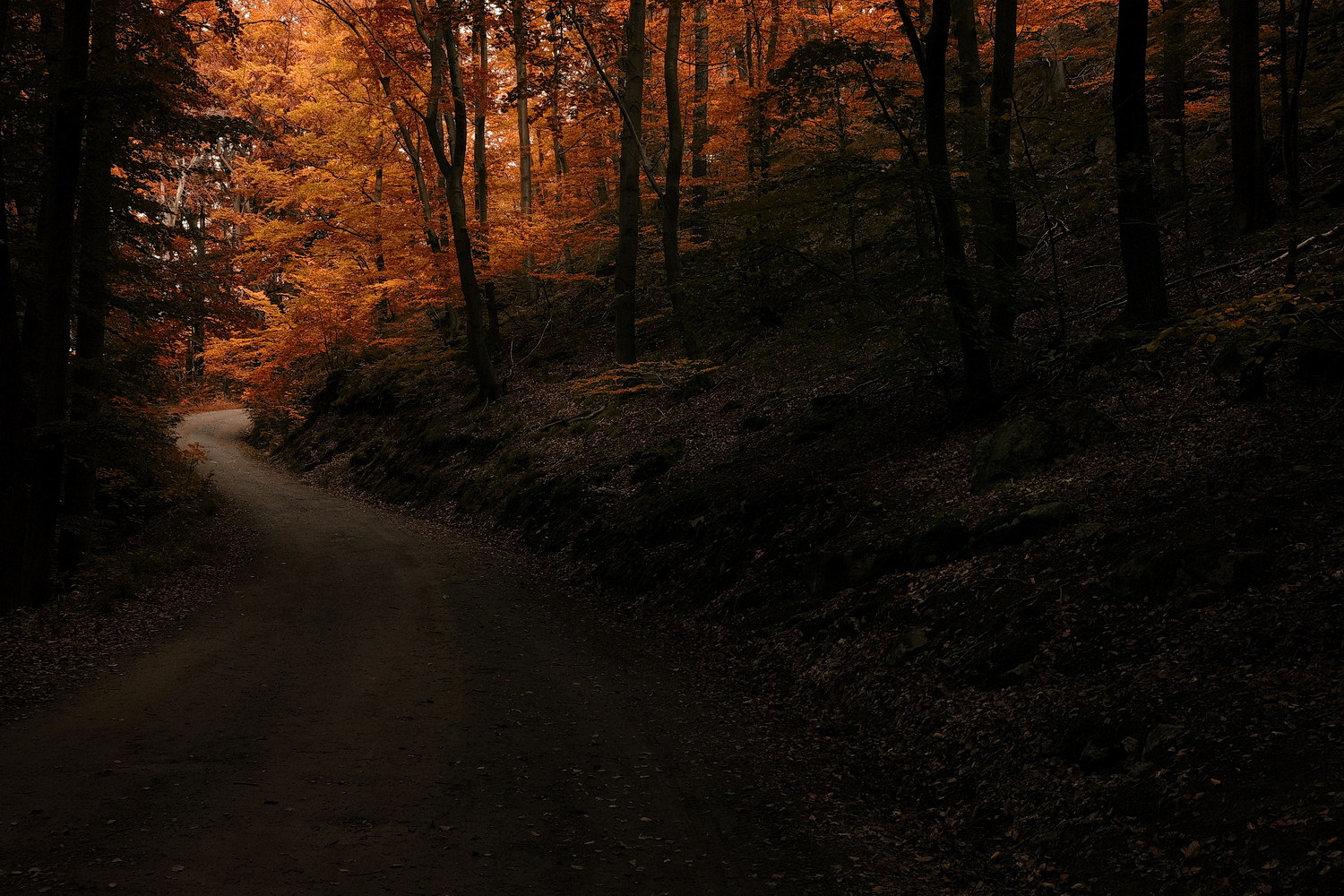 Herbstkleid