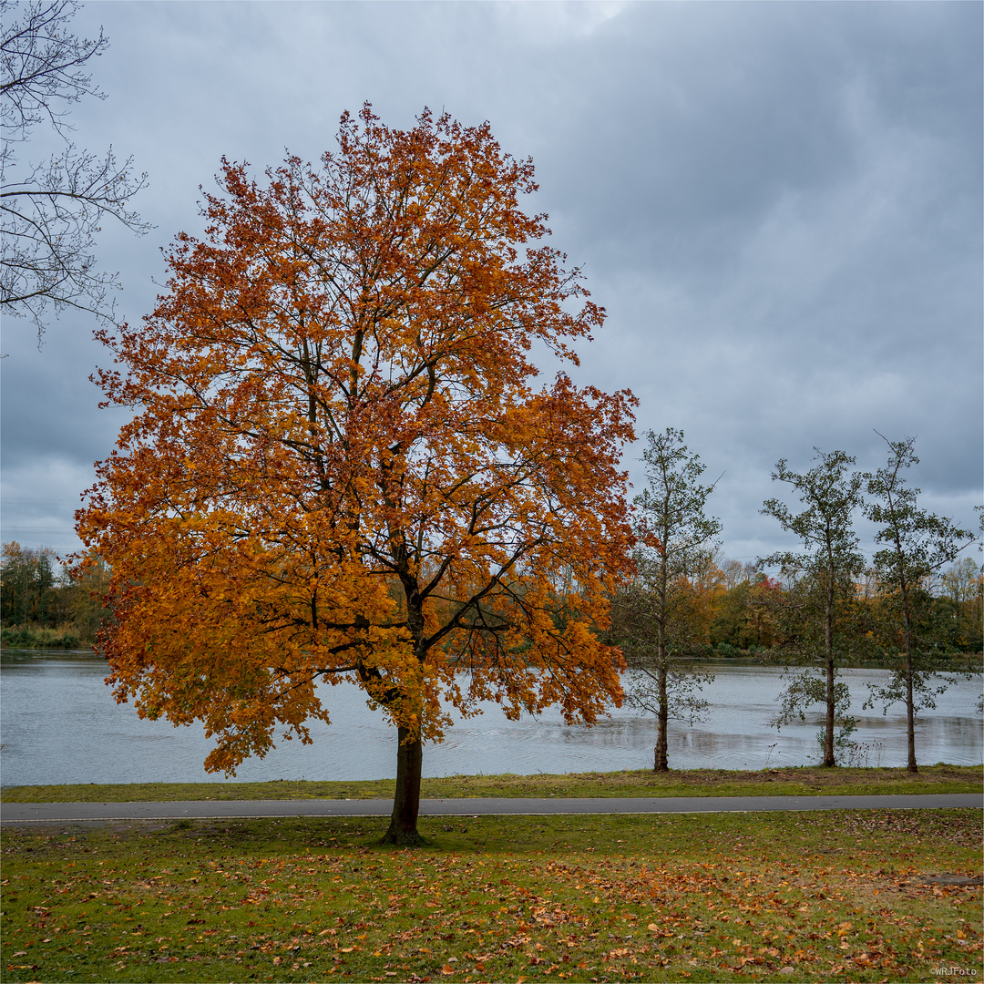 Herbstkleid