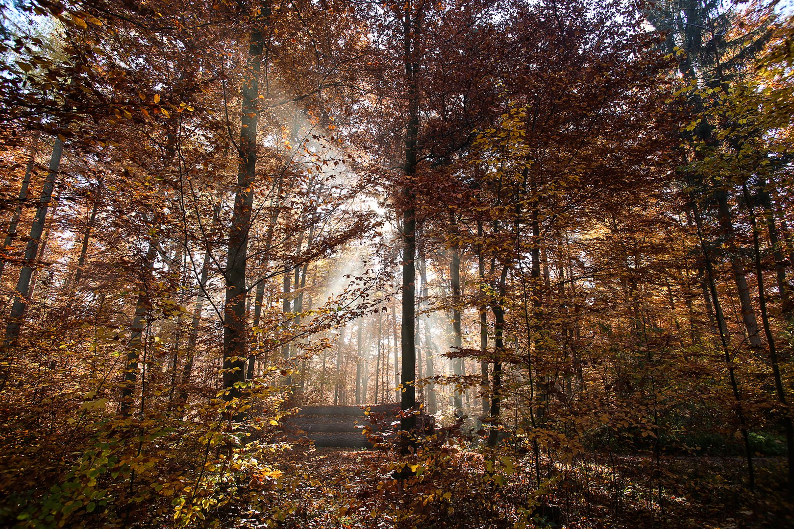 *** Herbstkleid ***