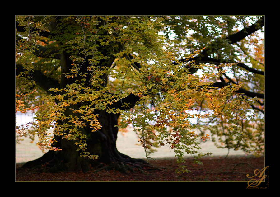 Herbstkleid