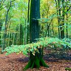 Herbstkleid