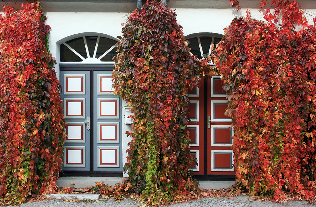 Herbstkleid