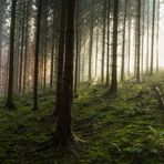 *** Herbstkleid - Pano ***