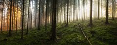 *** Herbstkleid - Pano ***