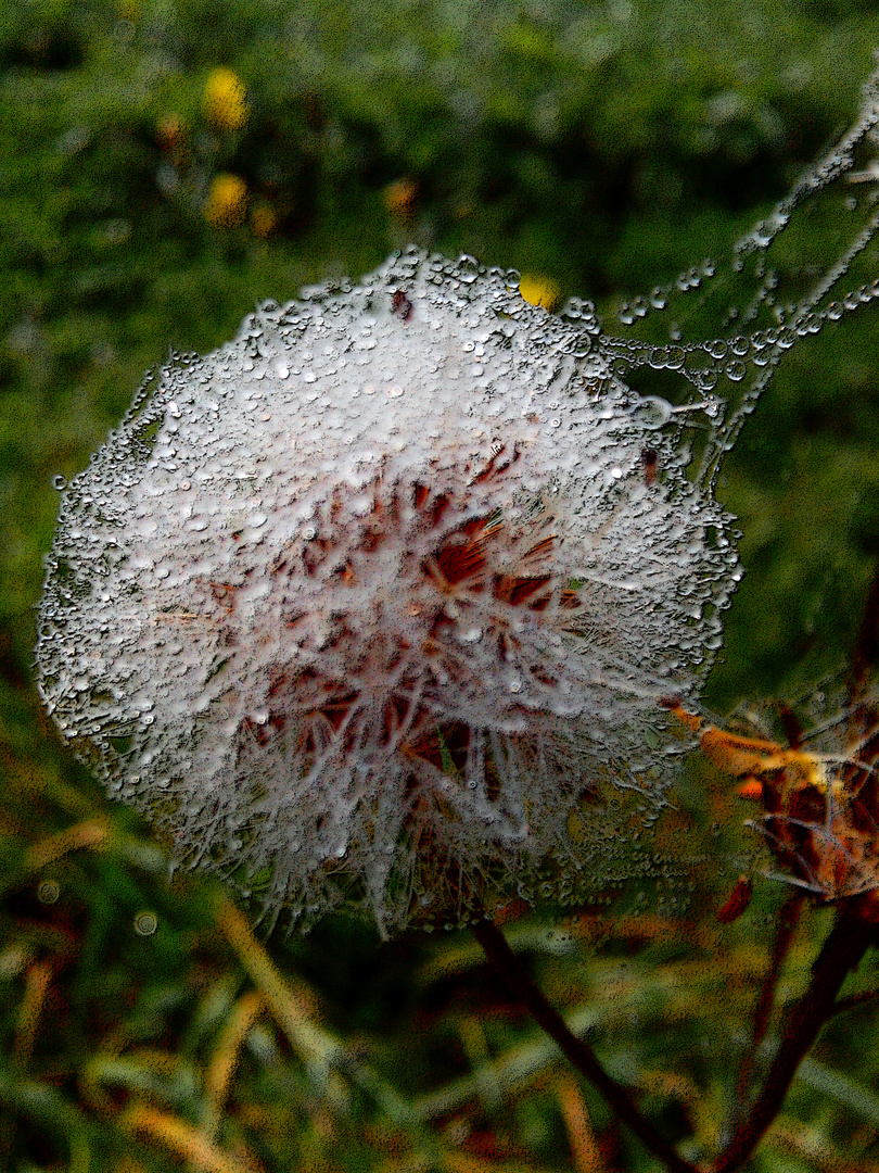 Herbstkleidchen