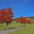 Herbstkleidung