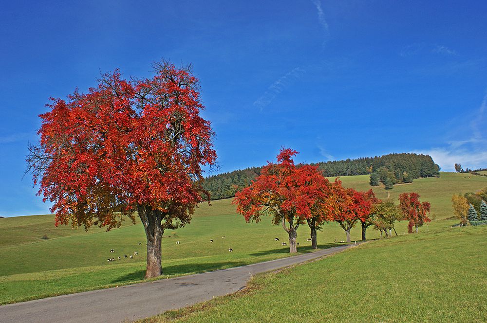 Herbstkleidung