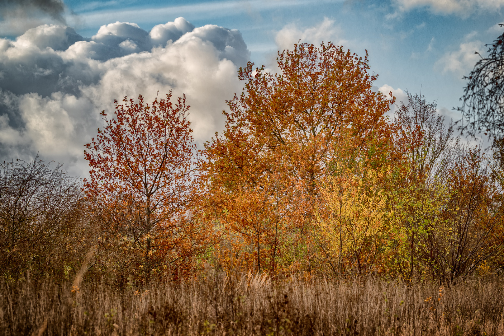 Herbstknick