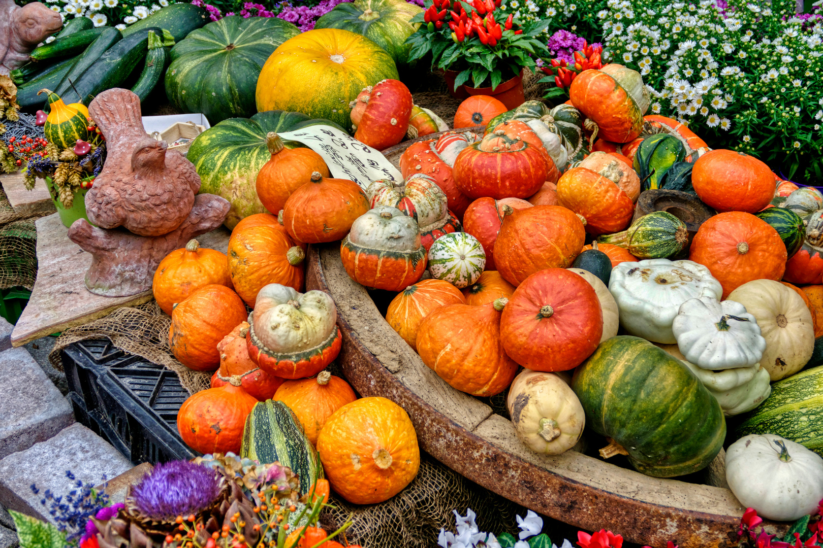 Herbstkollektion