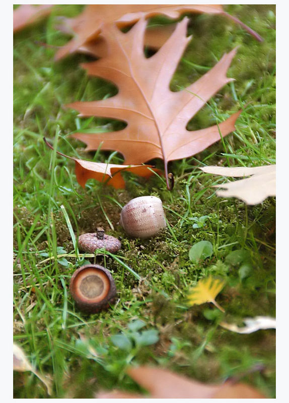 Herbstkomposition