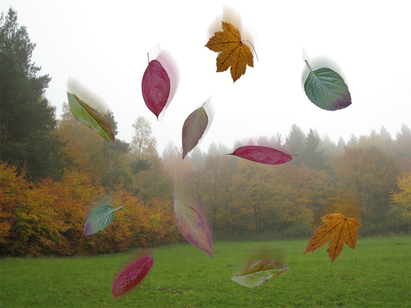 Herbstkomposition