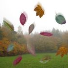 Herbstkomposition