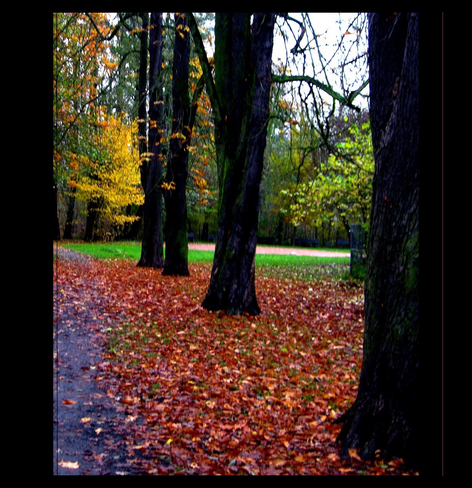 Herbstkontraste