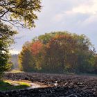 Herbstkontraste