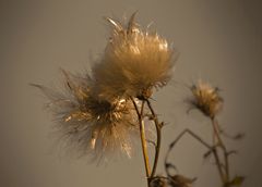 Herbstkonzert 