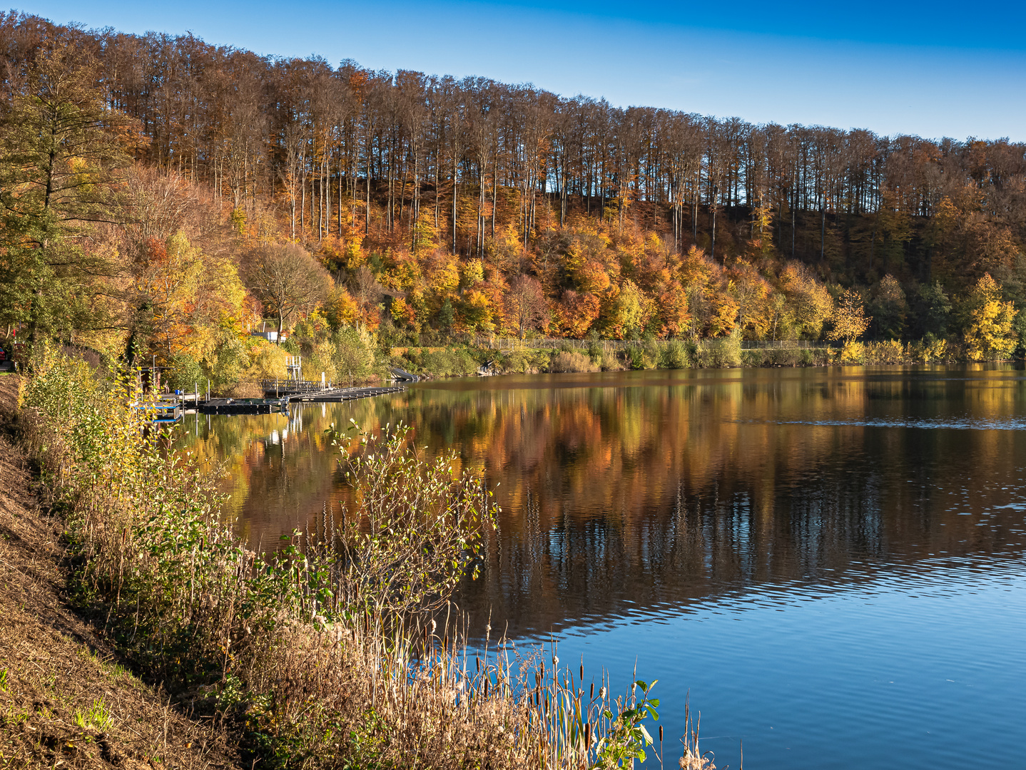 Herbstkpracht am Pulvermaar . (4)