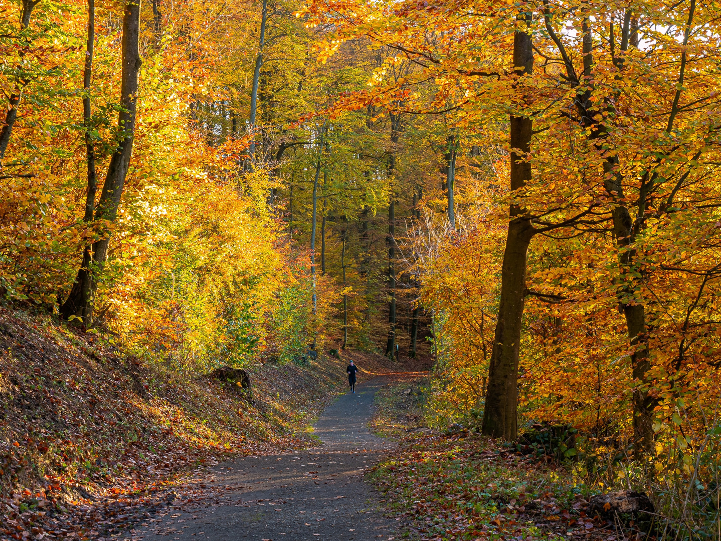 Herbstkpracht am Pulvermaar . (5)