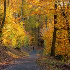 Herbstkpracht am Pulvermaar . (5)