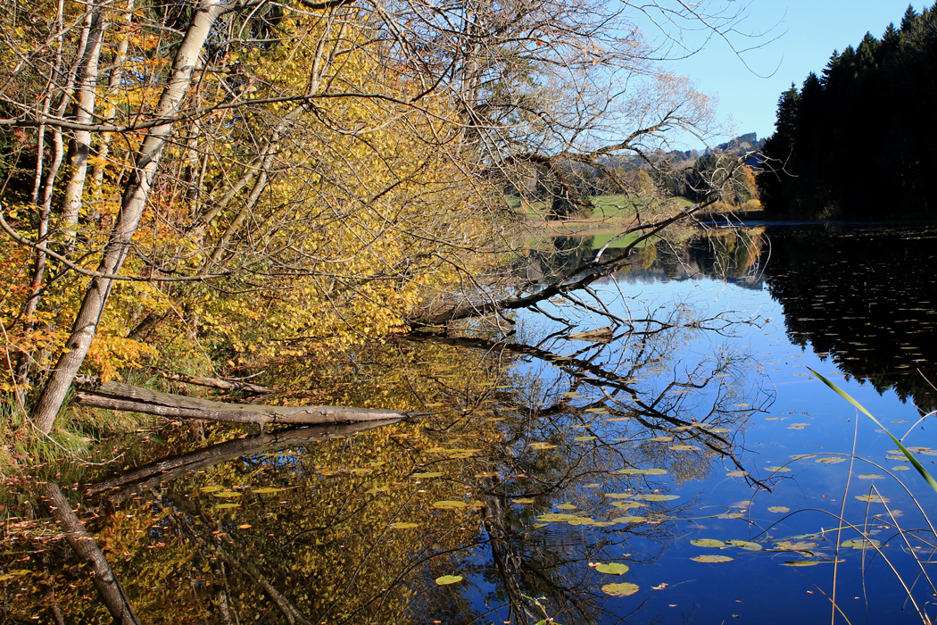 Herbstkraft