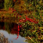 Herbstkreuz