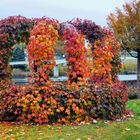 Herbstkrone