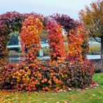 Herbstkrone