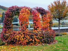 Herbstkrone