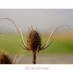 Herbstkrone