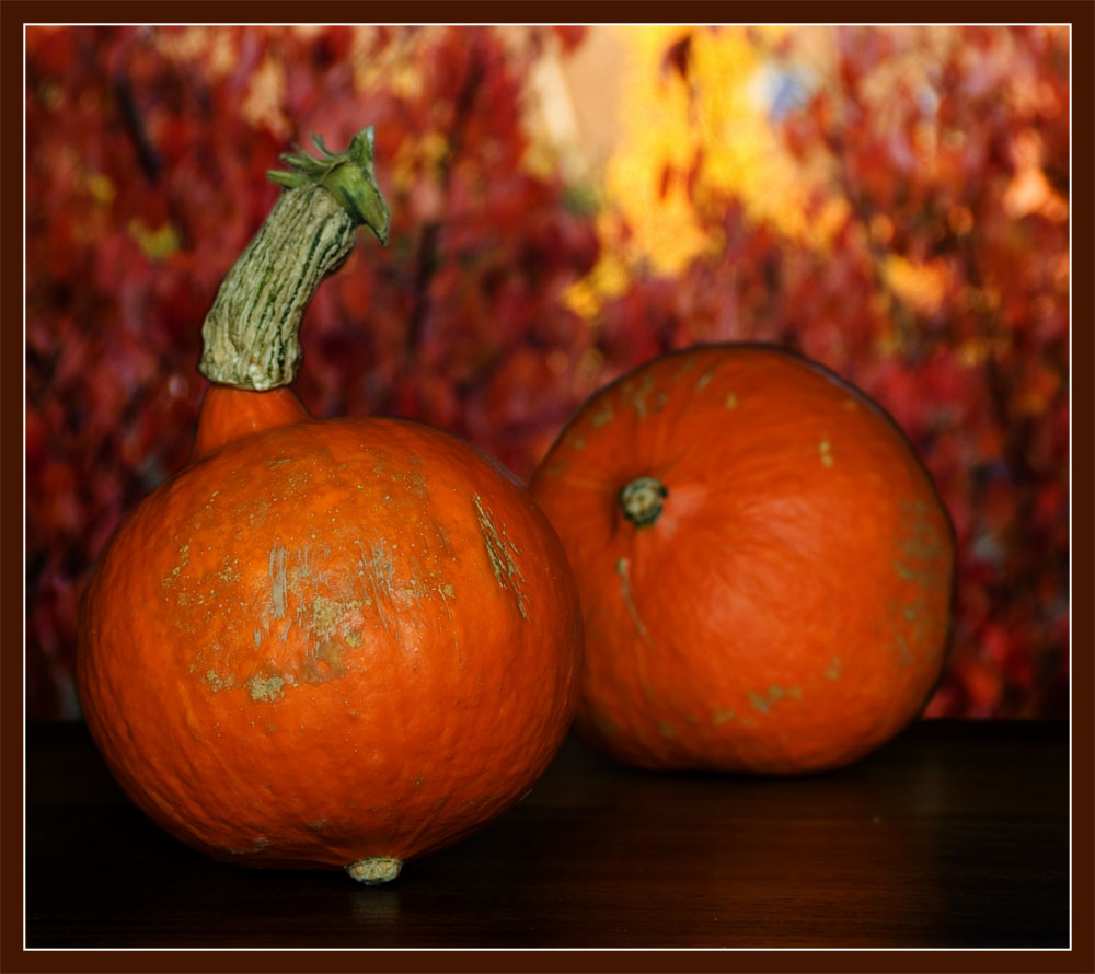 Herbstkürbis