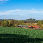 Herbstkulisse für DB Cargo