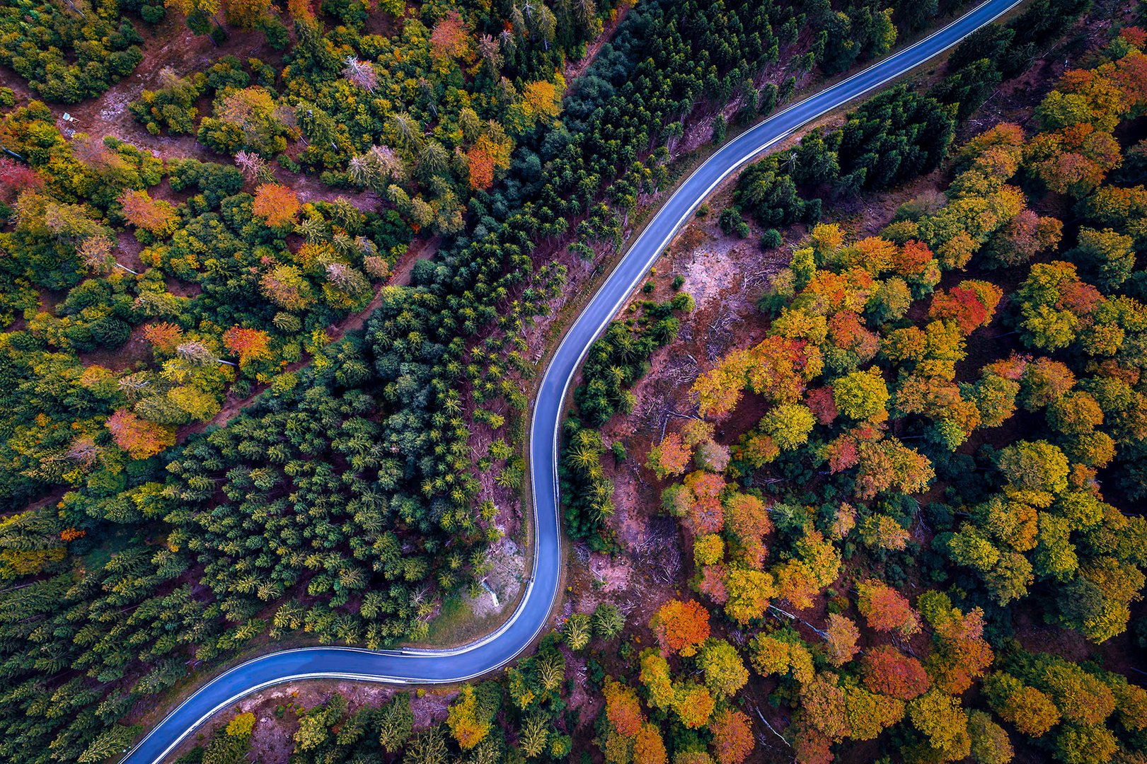 Herbstkurve