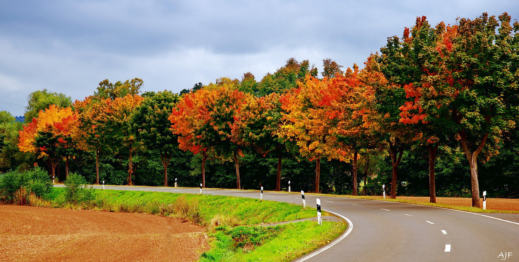 Herbstkurve