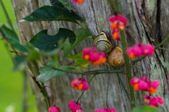 Herbstkuscheln