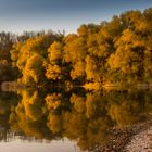 Herbstlächeln