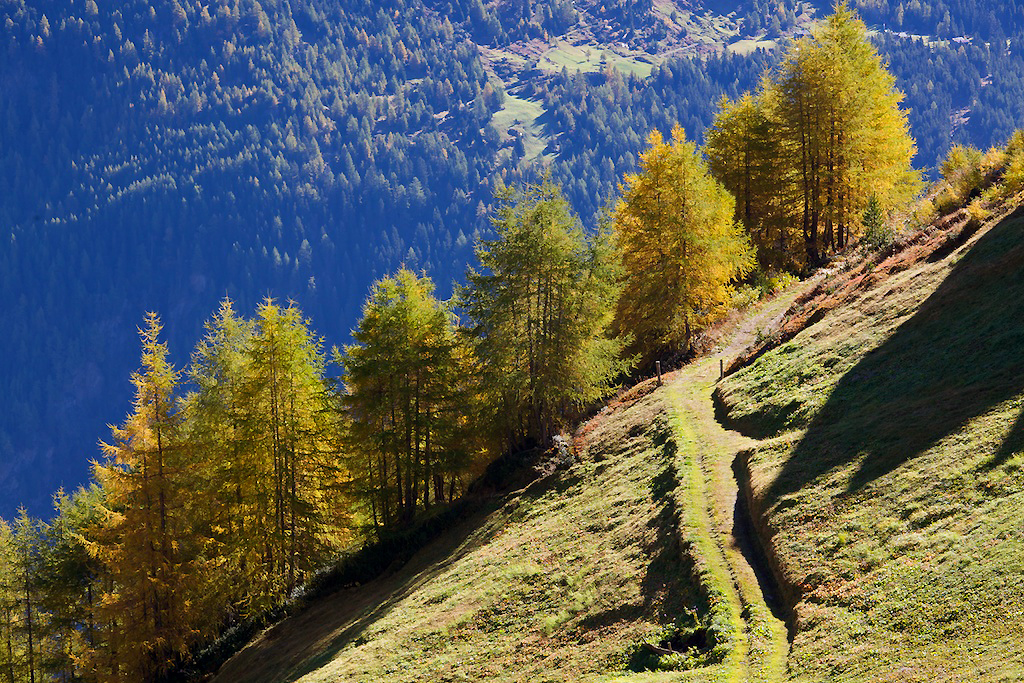 Herbstlärchenweg